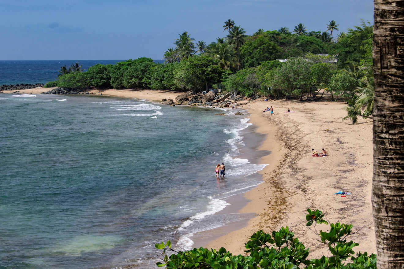 3 Where to stay near rincon puerto rico