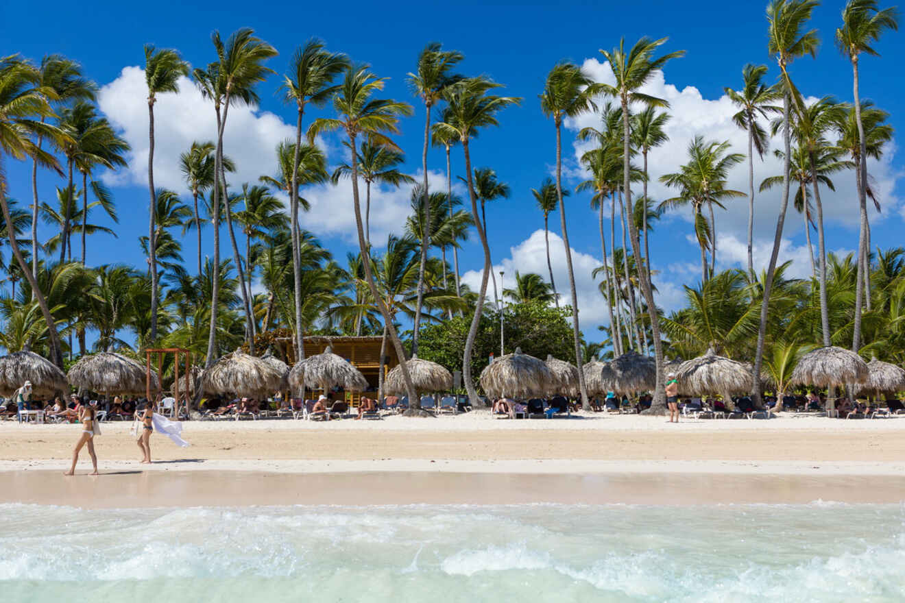 White sandy beach lined with tall palm trees and thatched umbrellas, with a clear blue sky overhead, capturing the quintessential tropical paradise.
