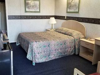 Simple motel room with a floral bedspread and basic furnishings