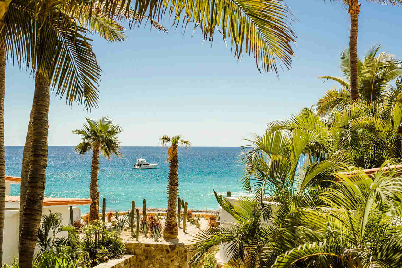 Tropical beachfront view framed by palm trees, with a luxury yacht sailing on the clear blue waters.