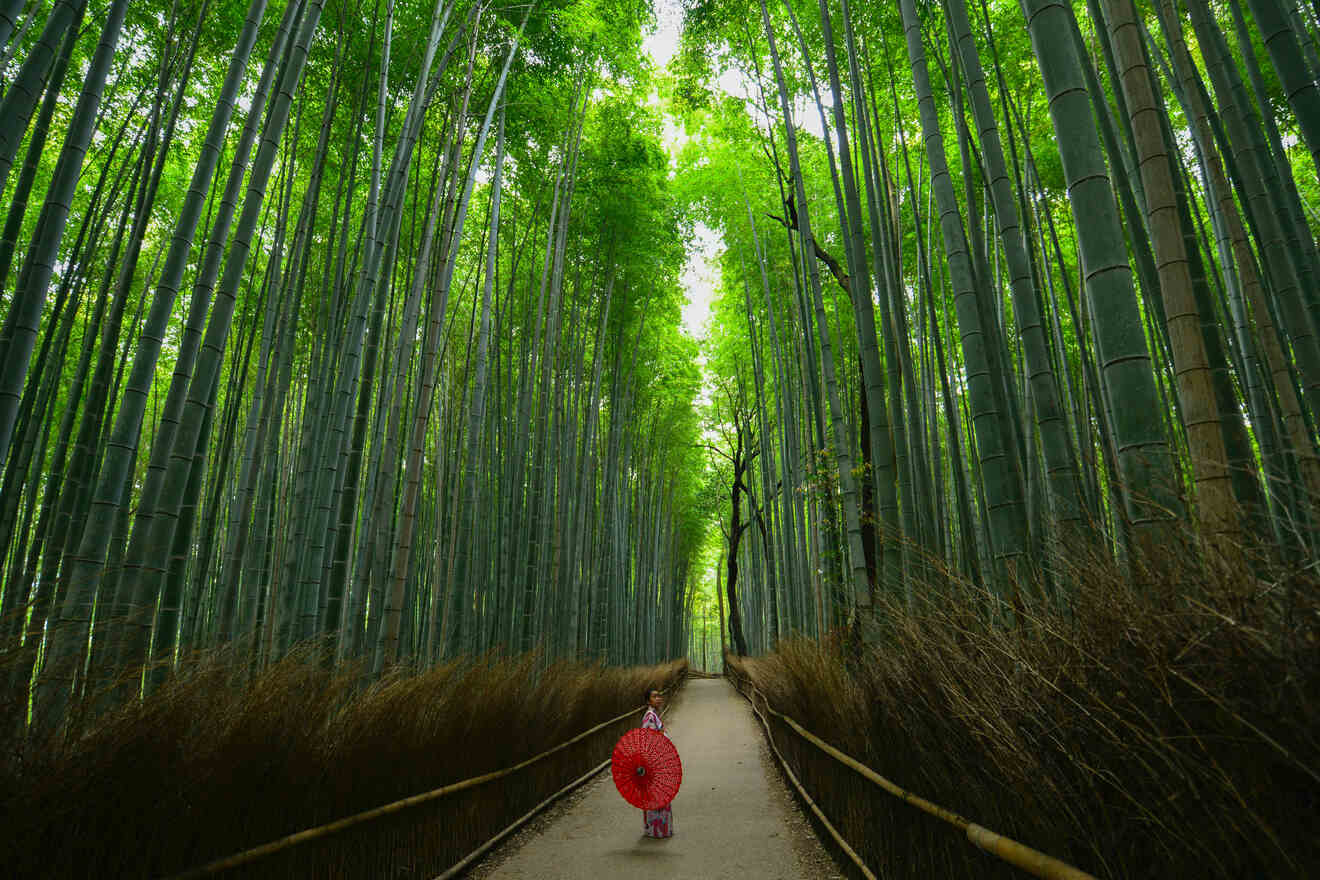 A serene path through the Arashiyama Bamboo Grove in Kyoto, Japan, with a person holding a traditional red umbrella in the distance