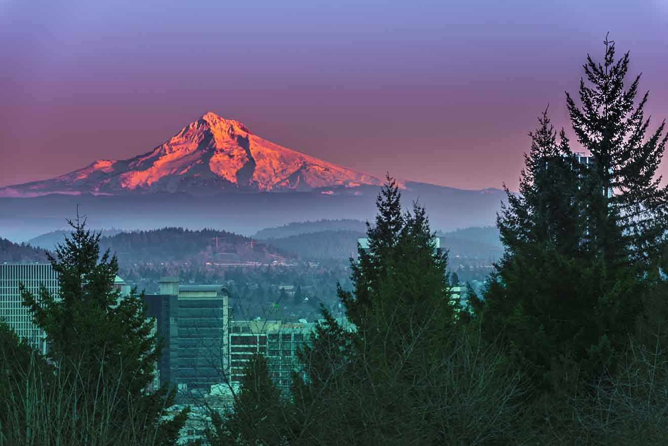 A tranquil view of Mount Hood bathed in pink alpenglow at dawn, seen from a forested area