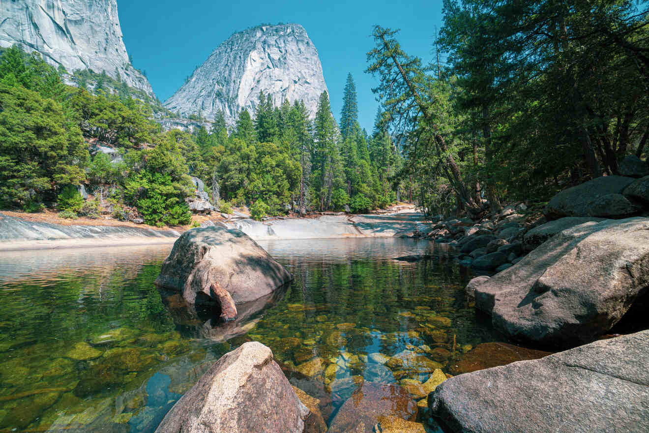 landscape in Yosemite National Park