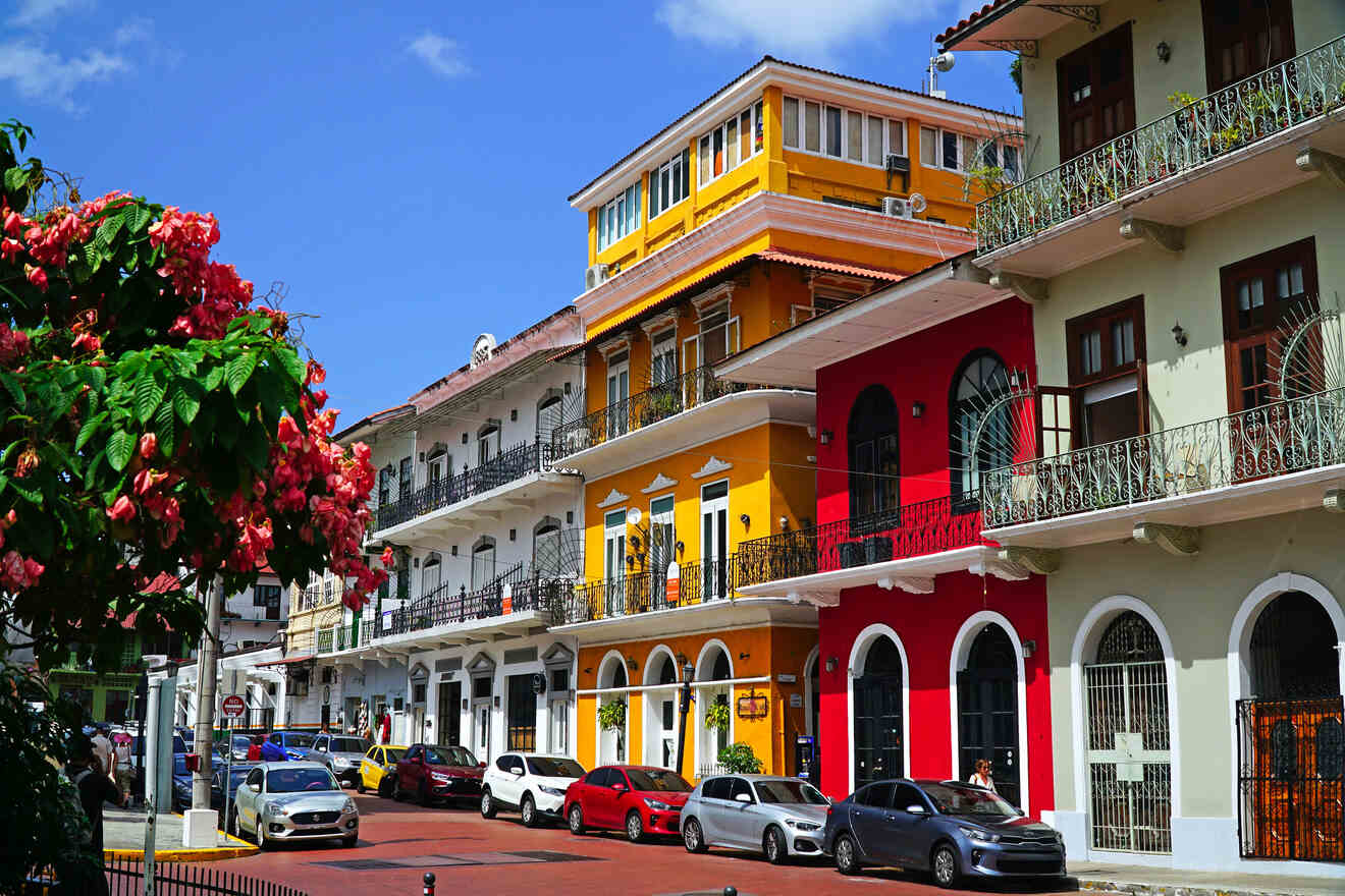 Colorful colonial buildings with blooming red flowers in Casco Viejo, Panama, on a bright sunny day with parked cars lining the street.