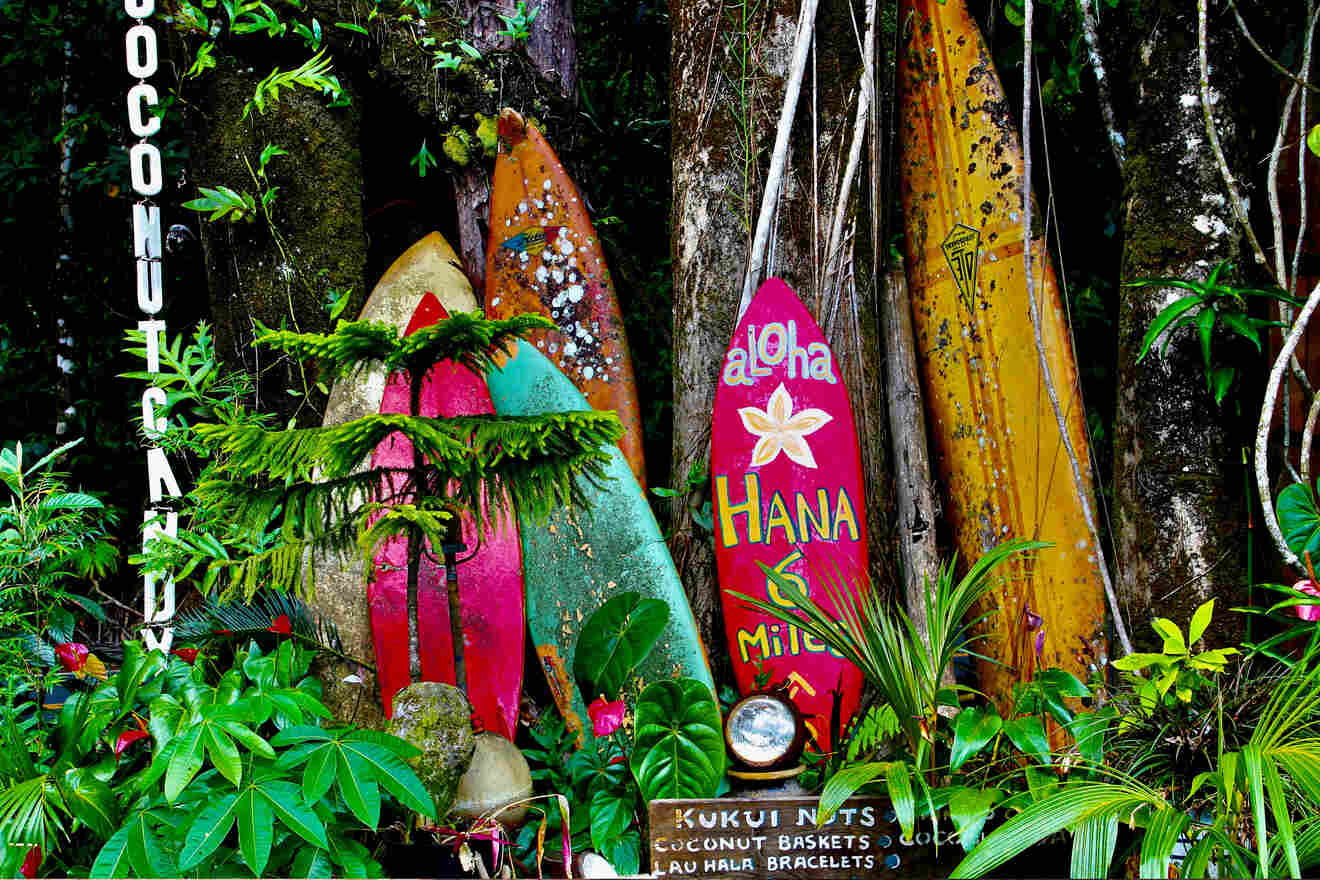 2 North Shore Where to Stay in Oahu for Surfers and Adventurers