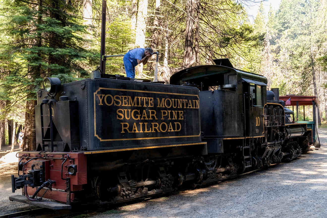 Historic Yosemite Mountain Sugar Pine Railroad with an old steam engine and a worker on top under the forest canopy.
