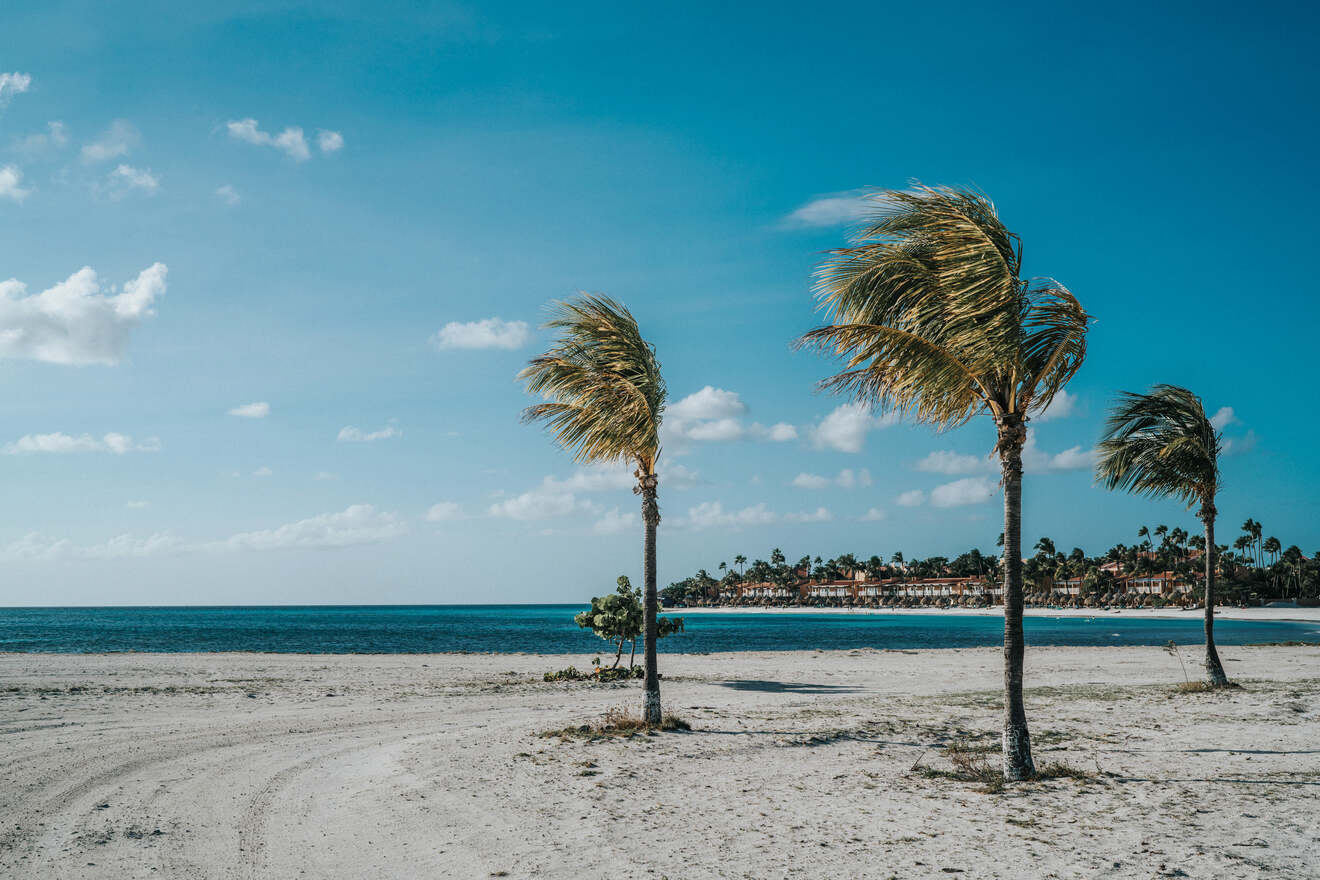 3. Eagle Beach best place to stay in Aruba on a Budget