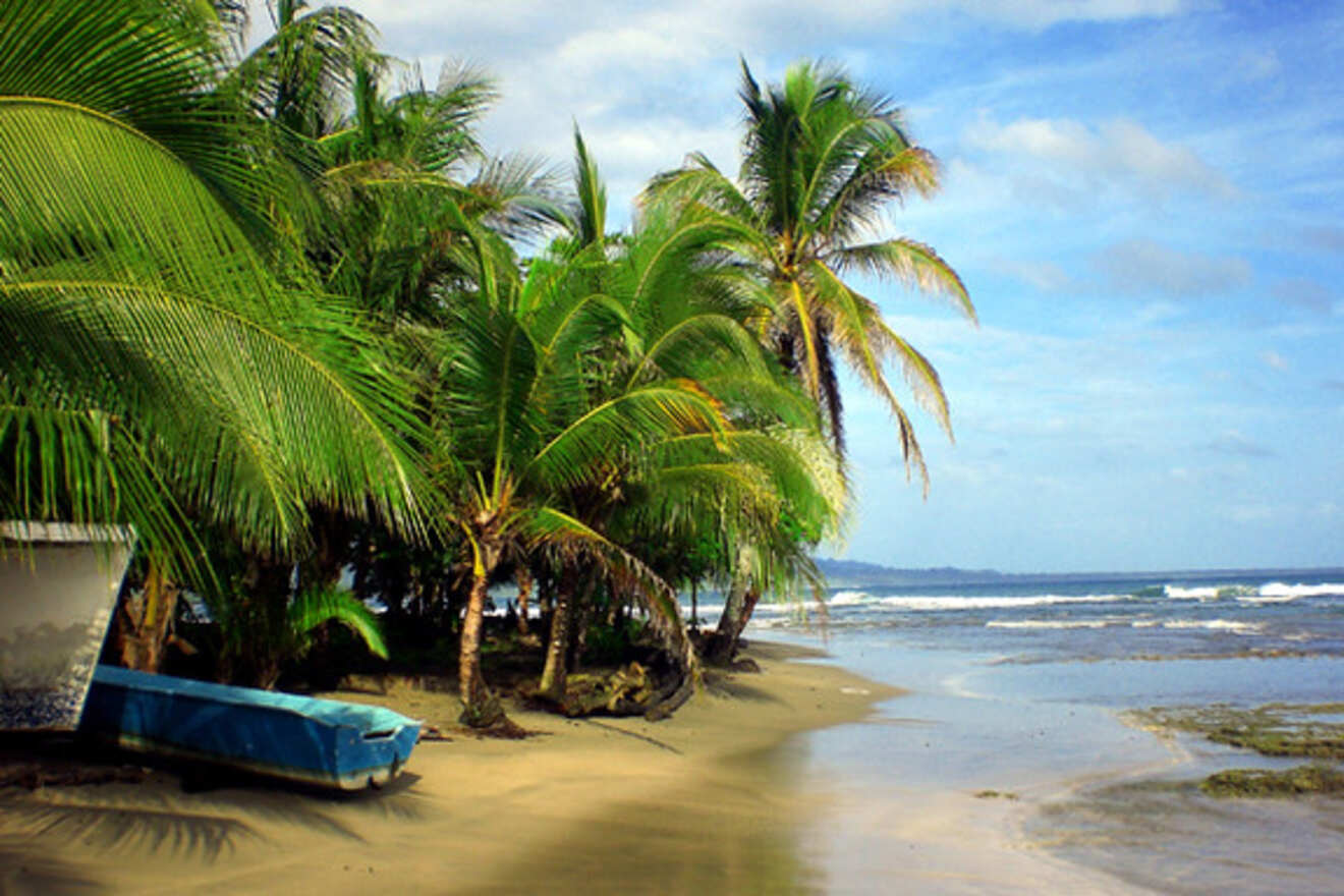 A serene tropical beach with lush palm trees, a small blue boat on the sand, and gentle waves lapping the shore under a partly cloudy sky.