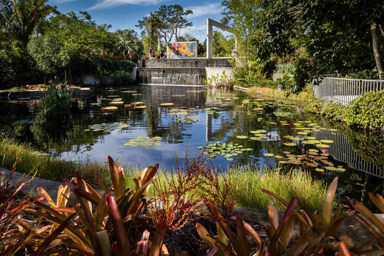 Tranquil pond with water lilies and a waterfall feature, surrounded by lush tropical plants and a colorful mural in the background, located in a serene garden setting