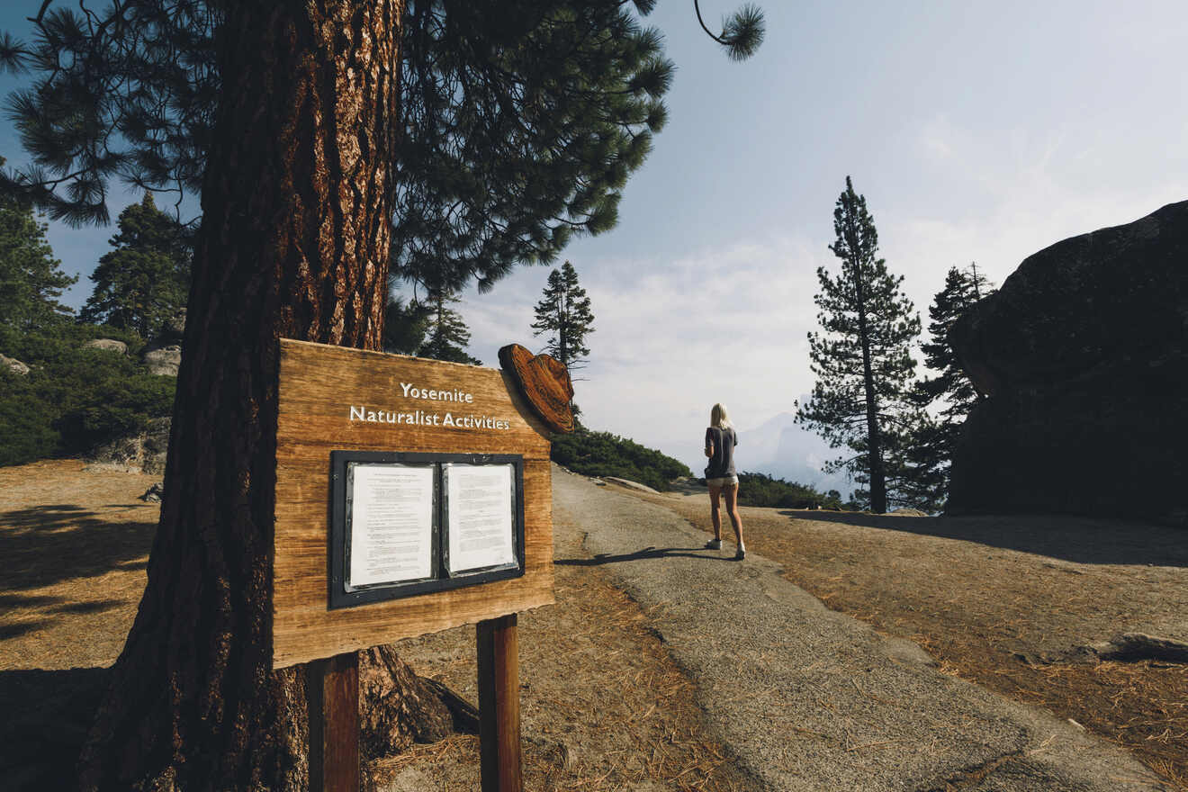 Information board for Yosemite Naturalist Activities with a visitor in the distance admiring the expansive view.
