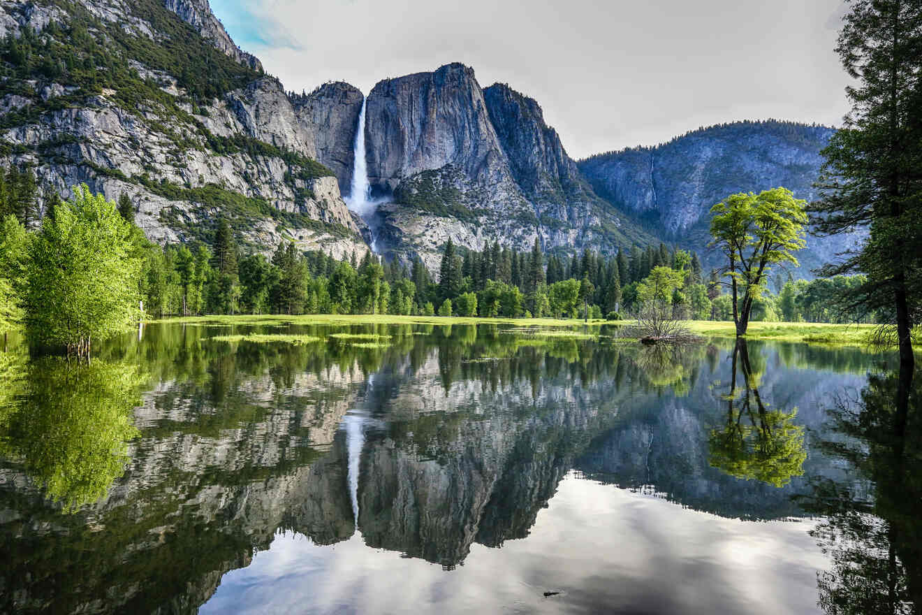 Reflective view of Yosemite Falls from across a still meadow with vibrant green trees and a clear blue sky.
