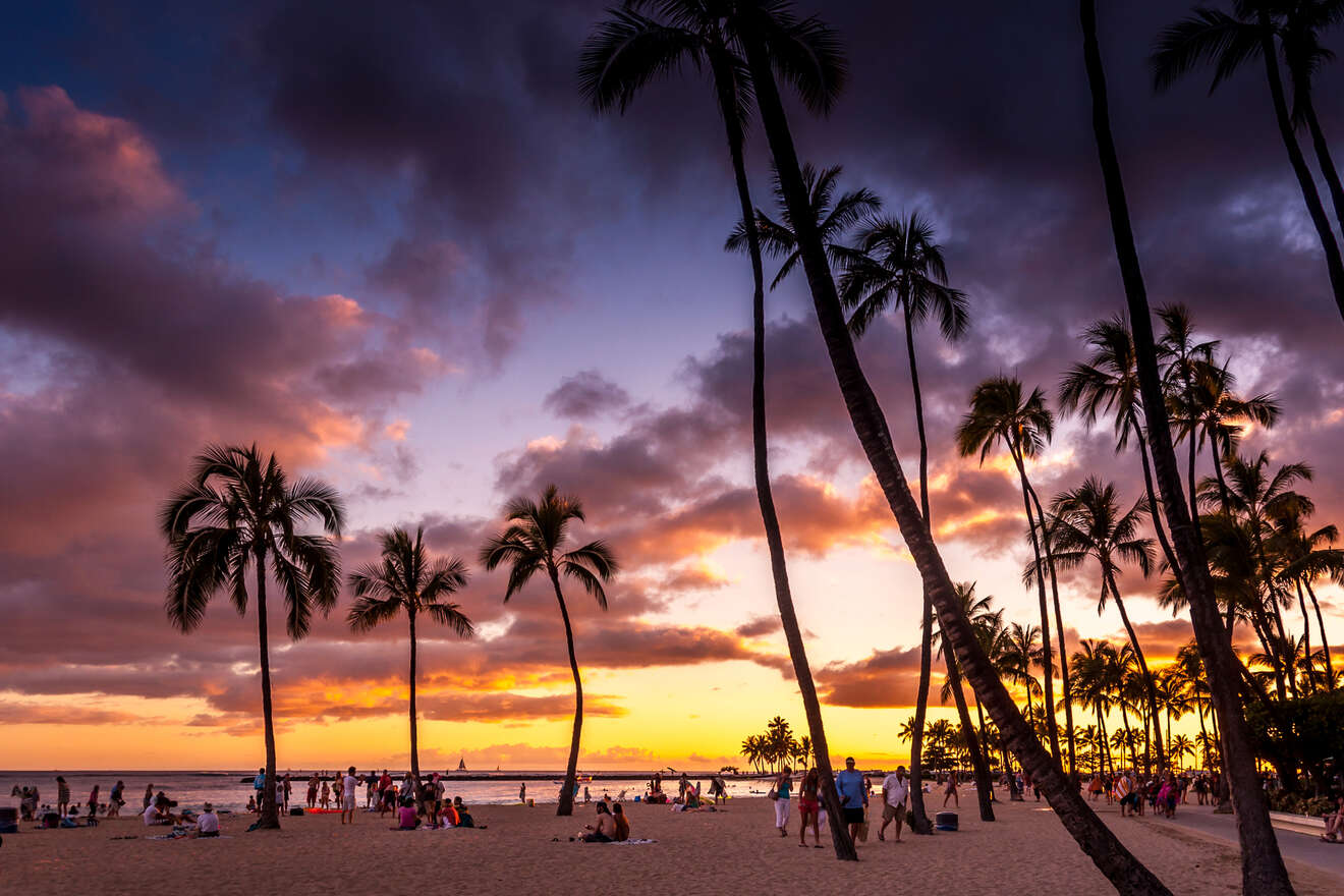 people on the beach at sunset