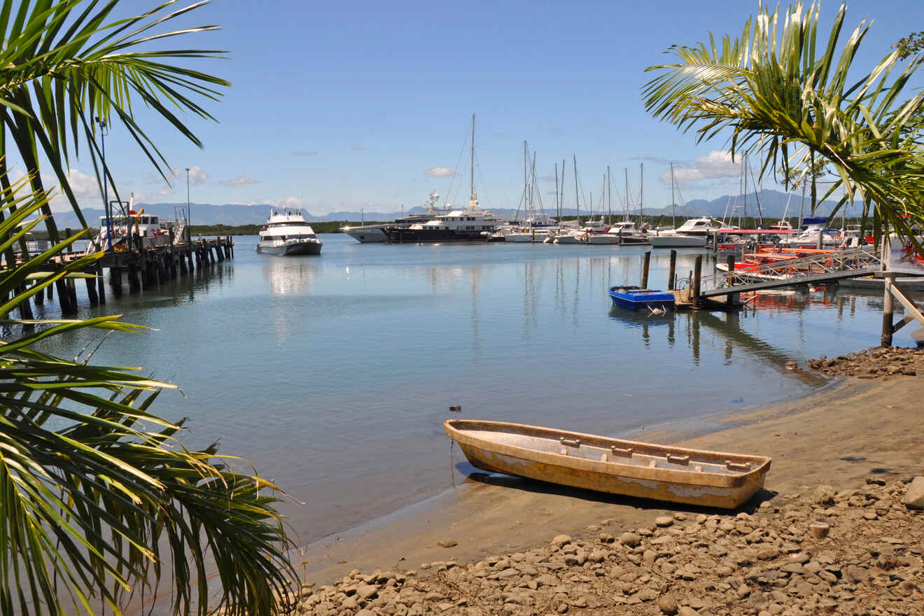 A tranquil harbor scene with palm trees framing a view of moored sailboats, a blue rowboat in the foreground, and mountains in the distance