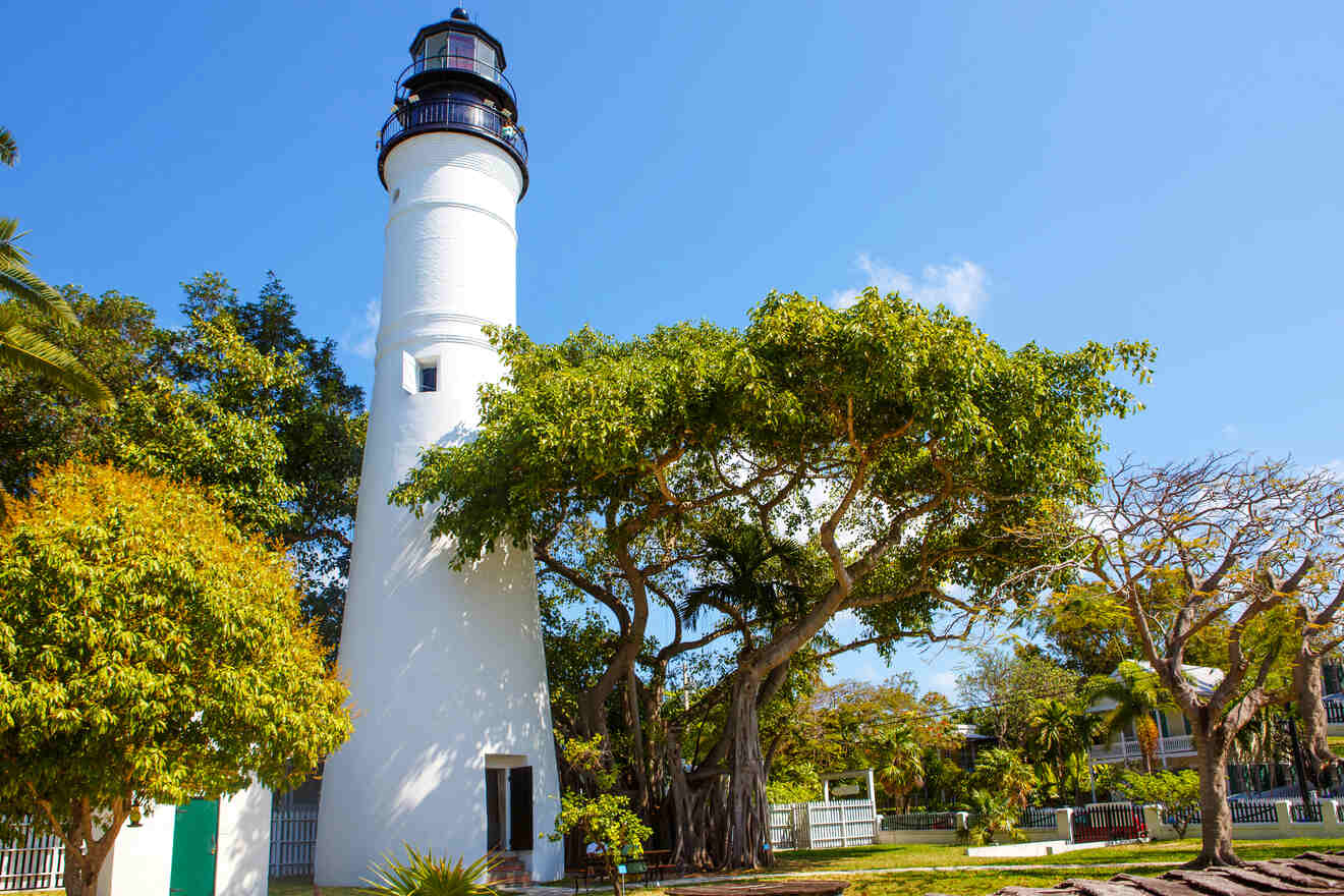 White lighthouse surrounded by lush green foliage under a clear blue sky, Key West.
