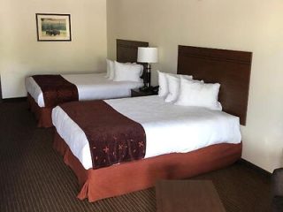 Two neatly made beds with white linens and brown bed skirts and runners, a bedside table with a lamp, and a framed picture on the wall in a hotel room.