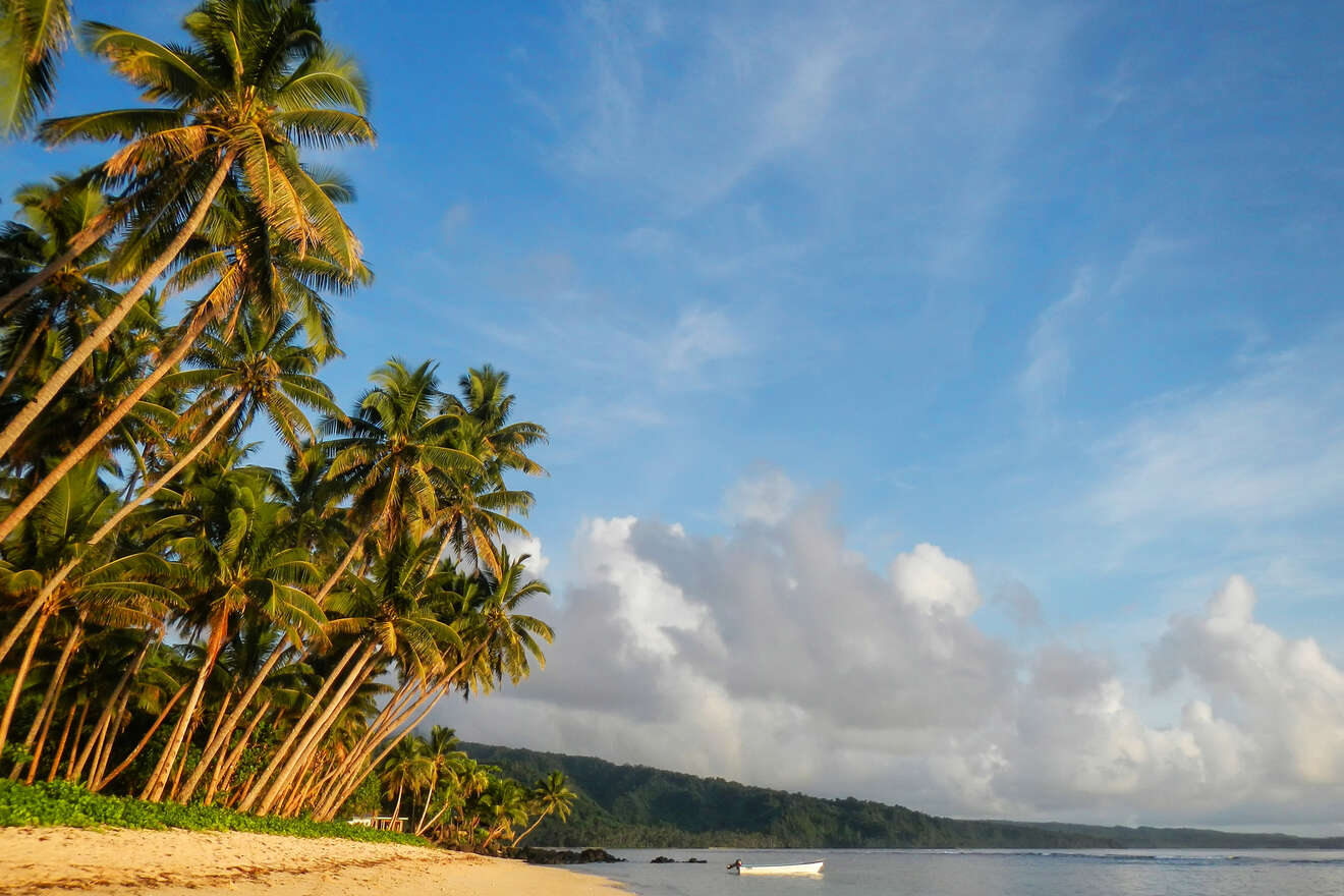 A tranquil beach lined with tall palm trees leaning towards the sea, under a cloudy sky at sunrise or sunset, creating a peaceful tropical atmosphere