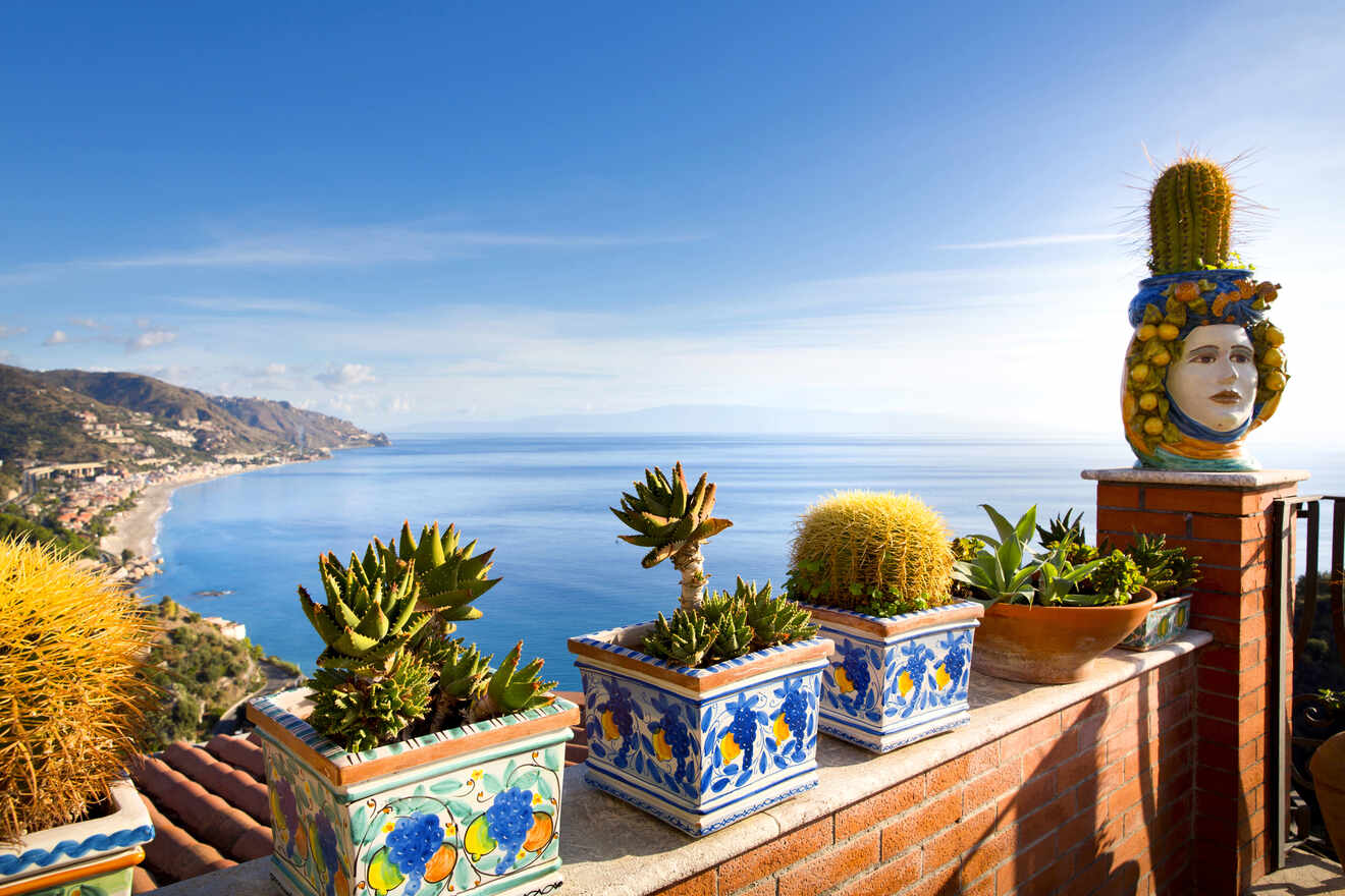 Cactus plants on a balcony overlooking the ocean.