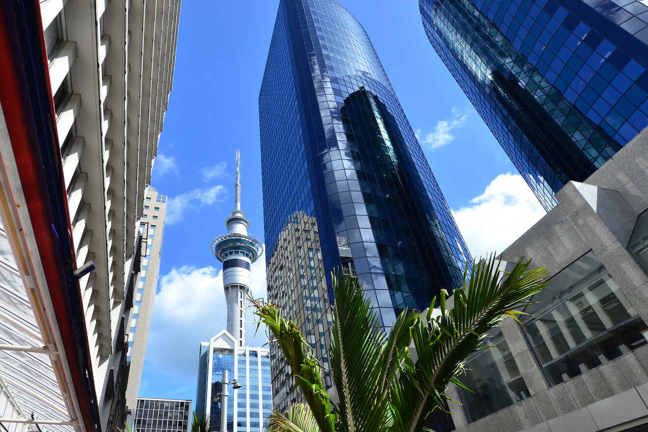 An urban scene with skyscrapers and the iconic Sky Tower piercing the blue sky, framed by palm trees and modern glass buildings, highlighting a bustling cityscape