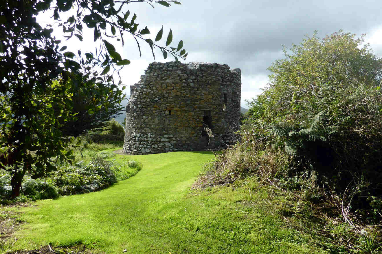 Ancient circular stone tower amidst green foliage under a bright sky, showcasing Ireland's historic architecture