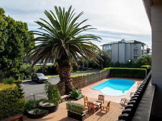 A tranquil hotel pool area with a large palm tree, surrounded by seating and framed by residential buildings