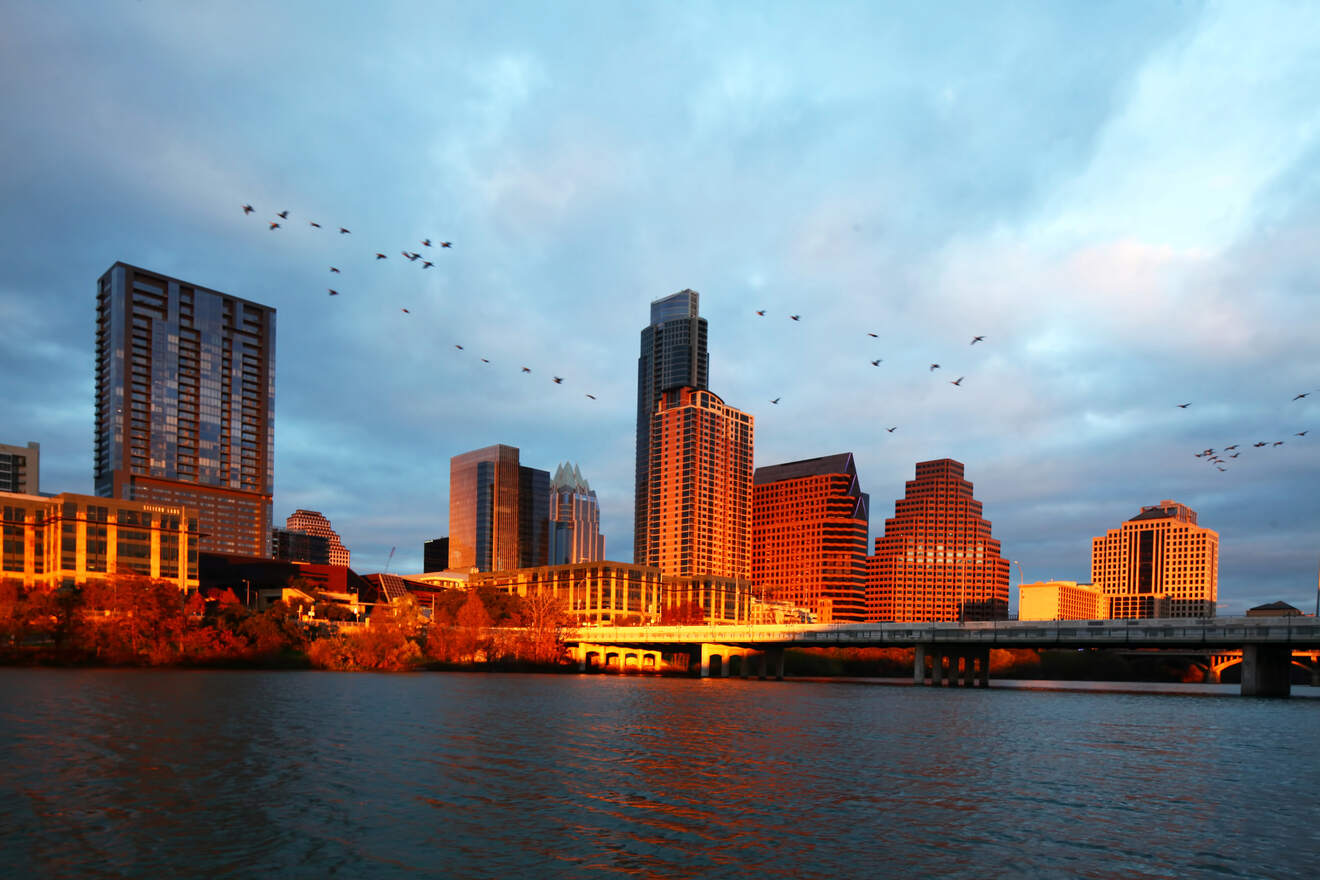 view of the skyline of Austin, Texas at dusk with birds flying over the skyscrapers located by the water