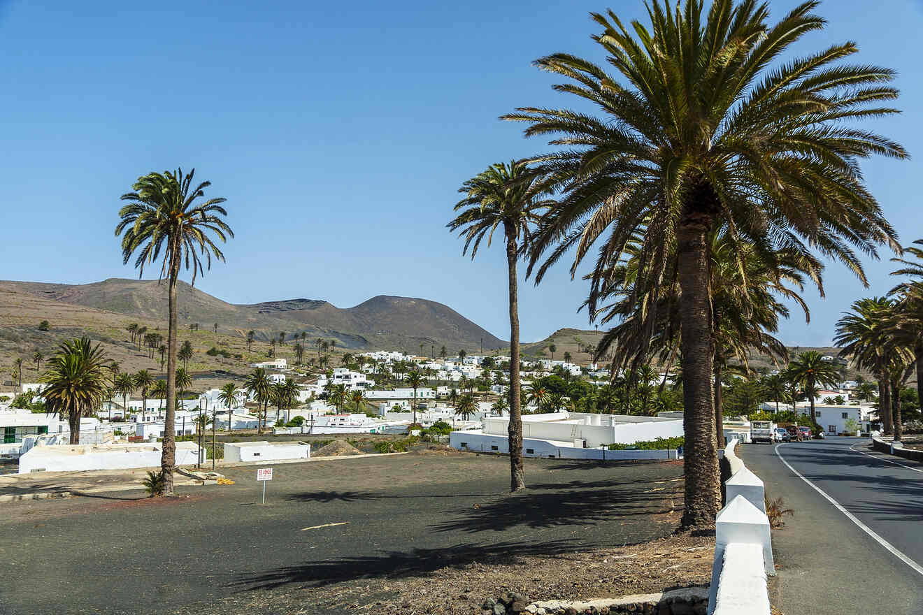 Scenic view of white-washed buildings in a Lanzarote village, with palm trees in the foreground and volcanic hills in the distance