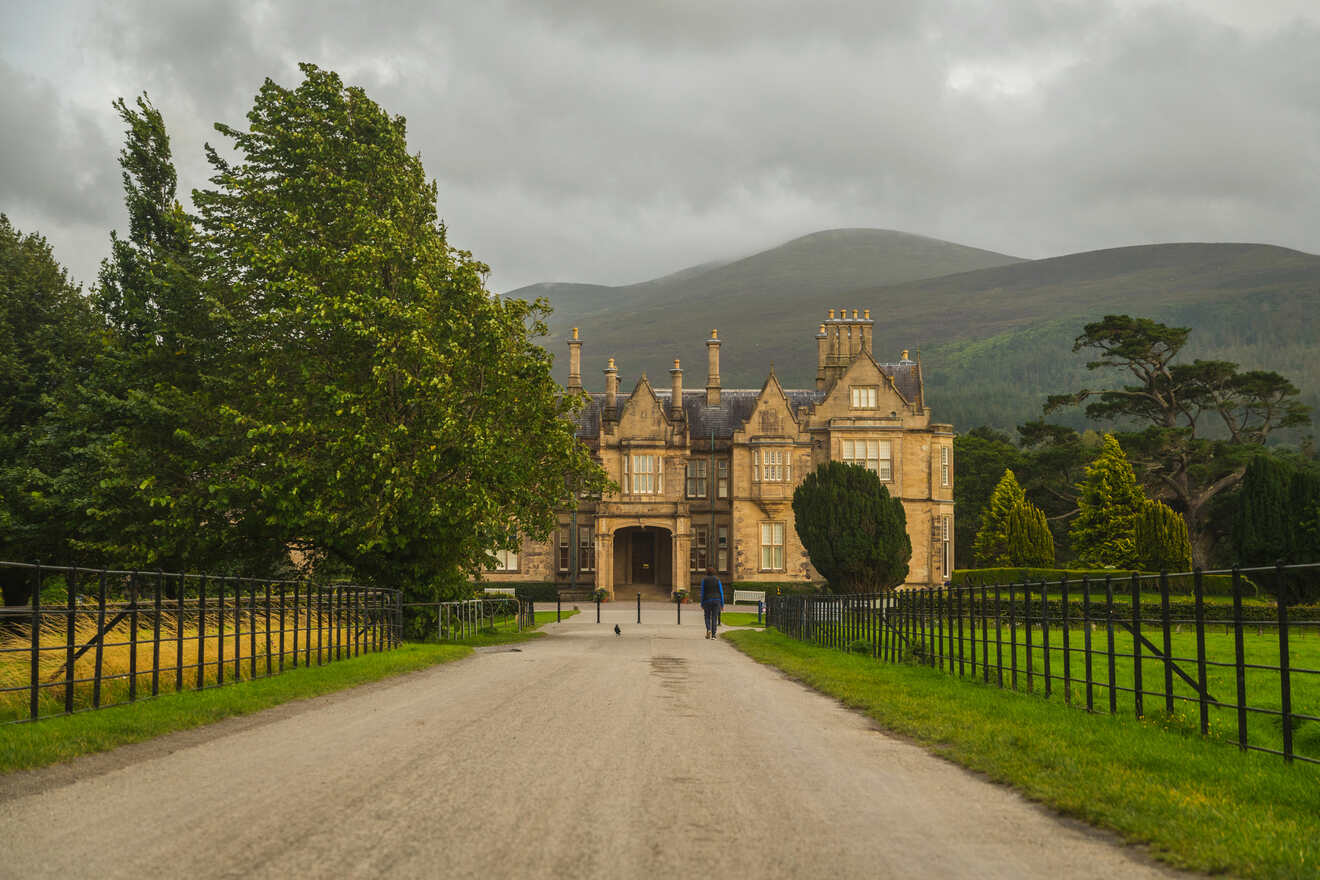 Grand manor house at the end of a tree-lined driveway with a mountainous backdrop, under a moody overcast sky