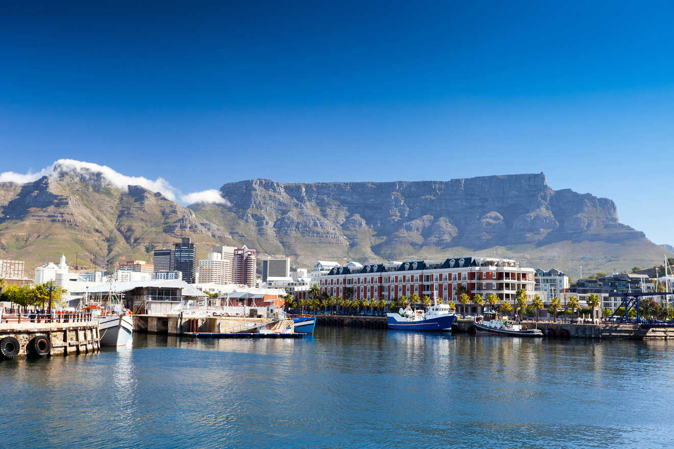 Breathtaking view of a flat-topped mountain overlooking the bustling V&A waterfront with boats and lined with palm trees in Cape Town