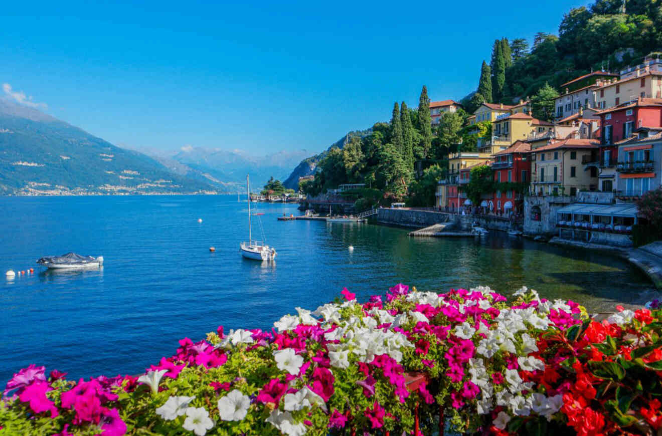 houses on the coast of the lake with flowers in the foreground
