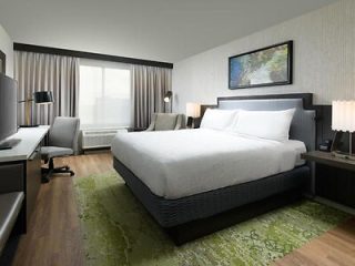 Contemporary hotel bedroom with a large bed, green area rug, and minimalist decor