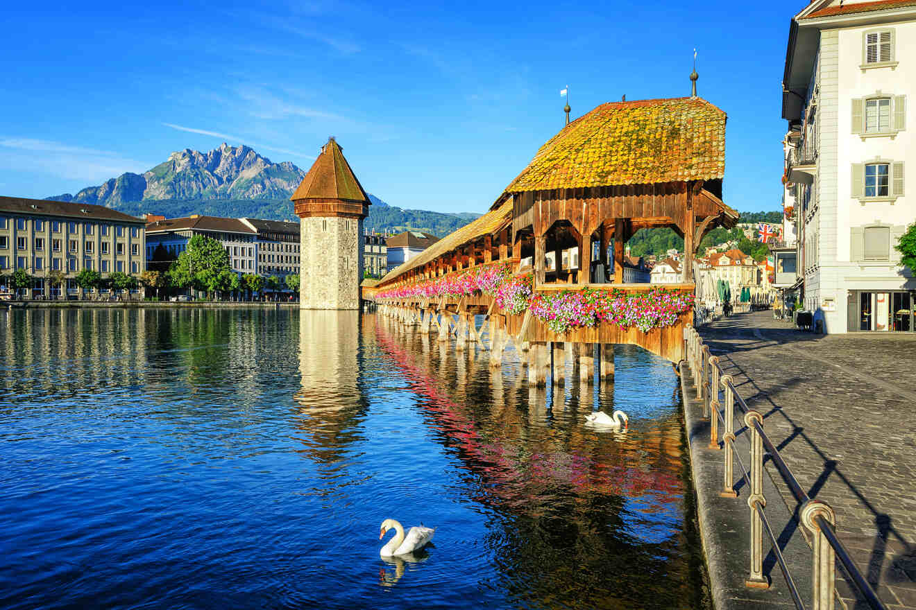 The iconic Kapellbrücke (Chapel Bridge) and Wasserturm (Water Tower) in Lucerne adorned with colorful flowers, with swans gliding on the tranquil water