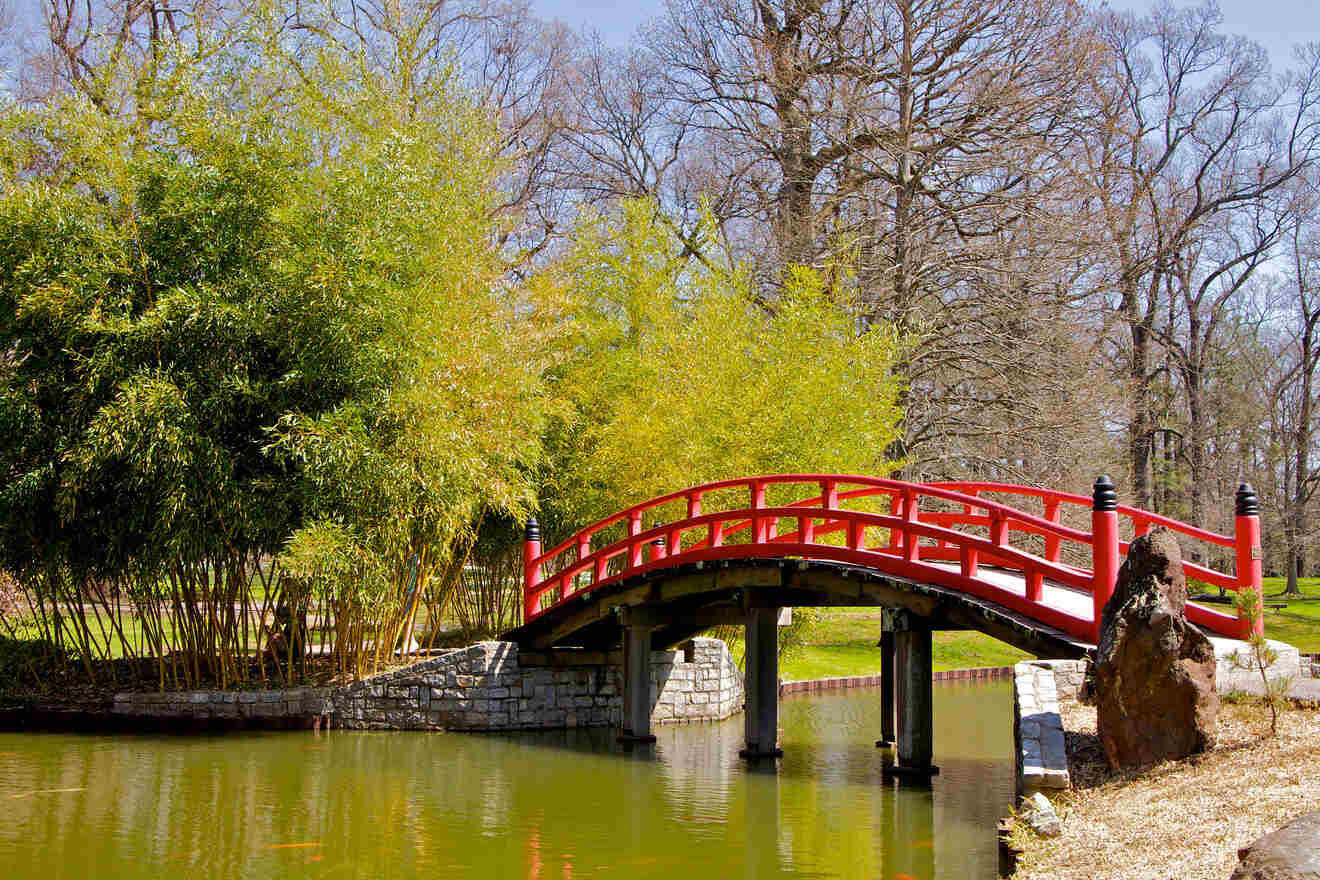 Tranquil Japanese garden scene with a red arched bridge over a pond, surrounded by lush bamboo and trees