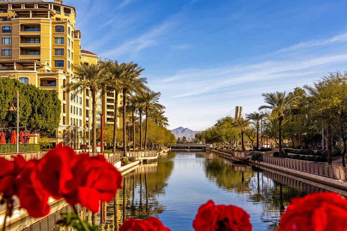 A scenic view of a canal lined with palm trees and red flowers in Scottsdale, with a yellow building and a distant mountain in the background.