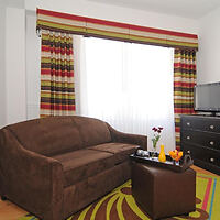 Cozy living room with a brown sofa, striped window curtains, and a colorful area rug with geometric patterns