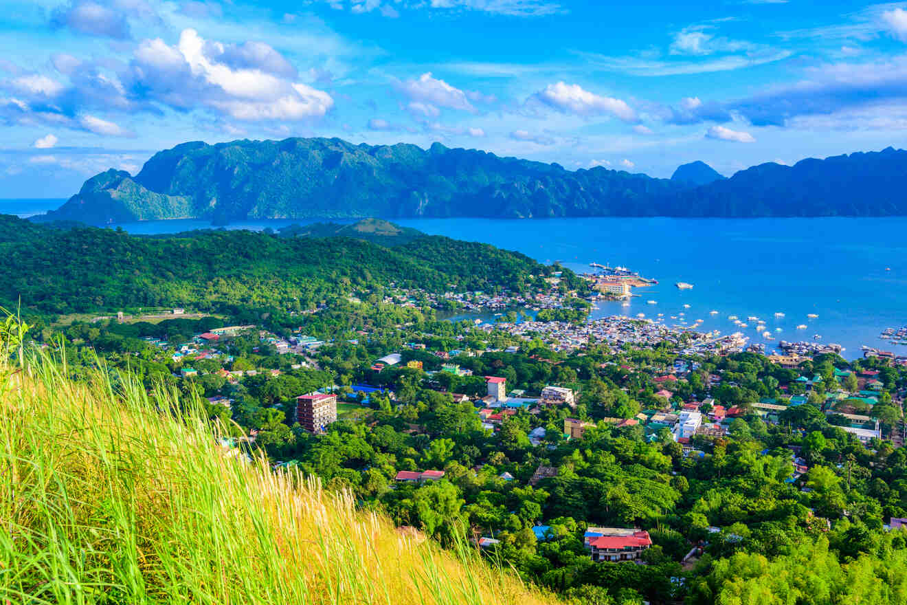 A view from a hillside overlooking a coastal town with green vegetation, buildings, and boats in the bay. Mountains and blue sky with clouds are in the background.