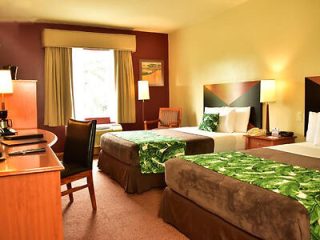 A cozy hotel room with two double beds, tropical-themed bedding, and a warm ambiance