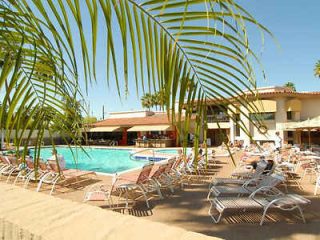 A busy hotel pool area with lounge chairs, palm trees, and people relaxing under the sun. ​​