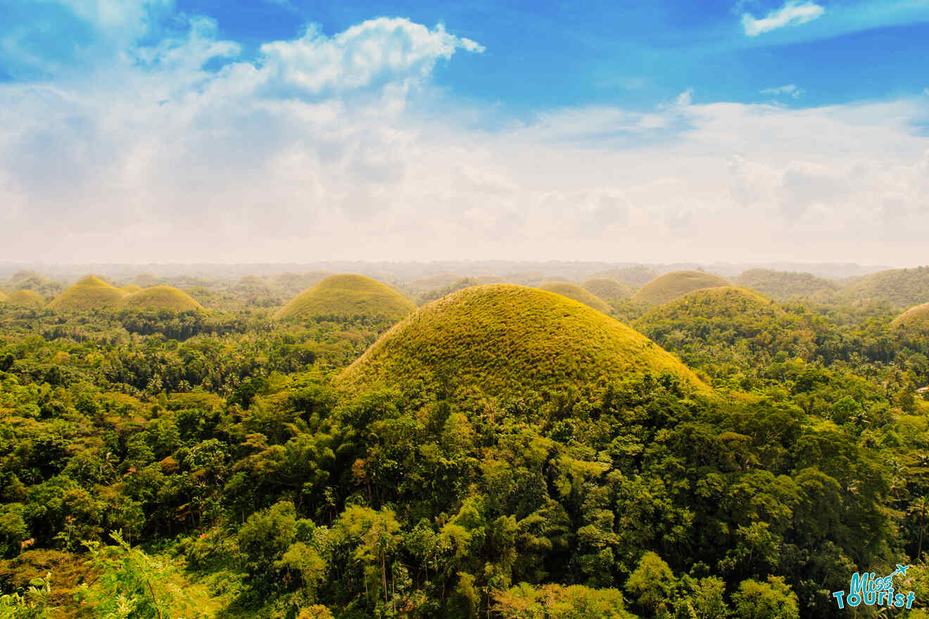 Wide-angle view of the famous Chocolate Hills in Bohol, Philippines, showcasing numerous symmetrical, grass-covered mounds under a partly cloudy sky.