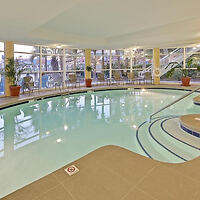 Indoor hotel swimming pool with curved edges, large windows, and several potted plants