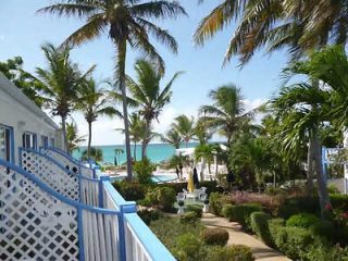 A garden pathway leading to a beachfront, lined with vibrant flora and palm trees, alongside a white fence with a bright blue ocean in the distance.