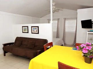 A simple interior living space with a brown sofa bed, a dining area with a bright yellow tablecloth, and modest decorations