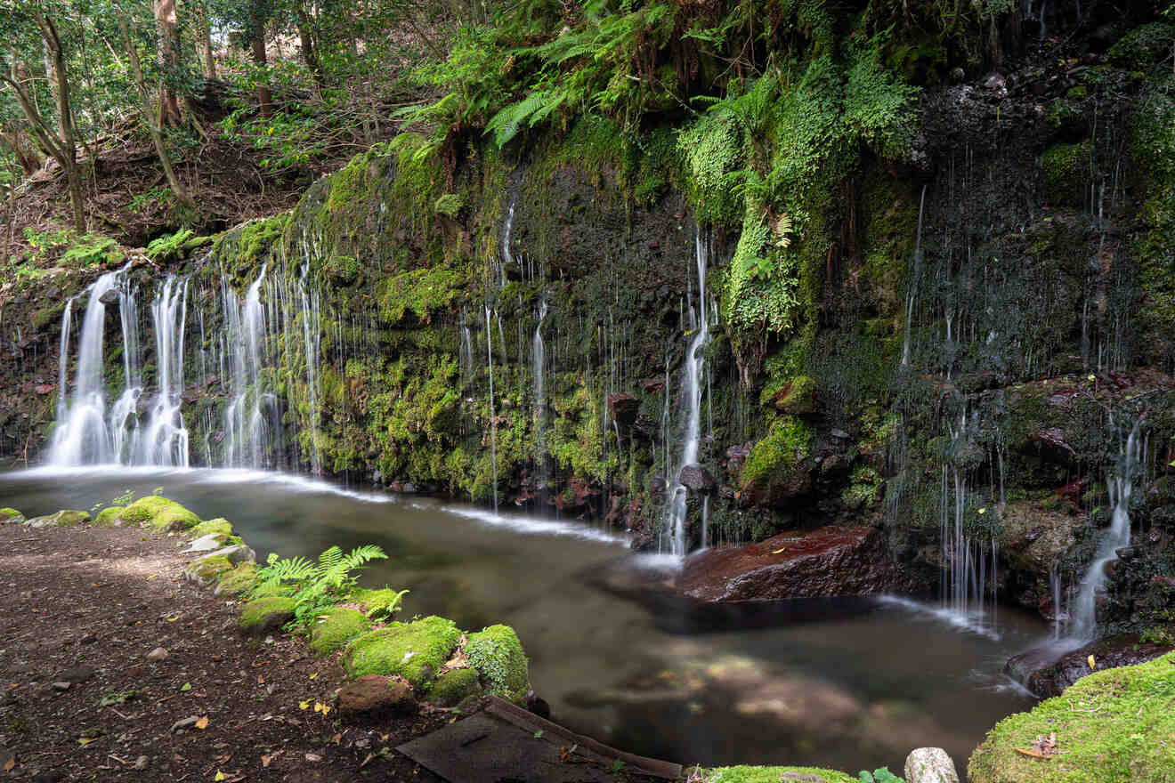 Tranquil waterfall cascading over moss-covered rocks in a lush forest setting, creating a serene atmosphere