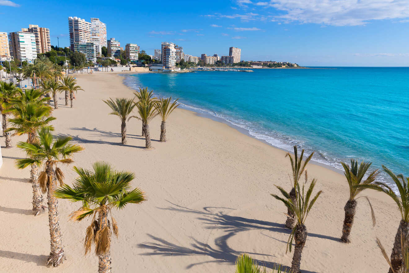 A sandy beach lined with palm trees in front of a calm blue ocean, with buildings and a clear sky in the background.