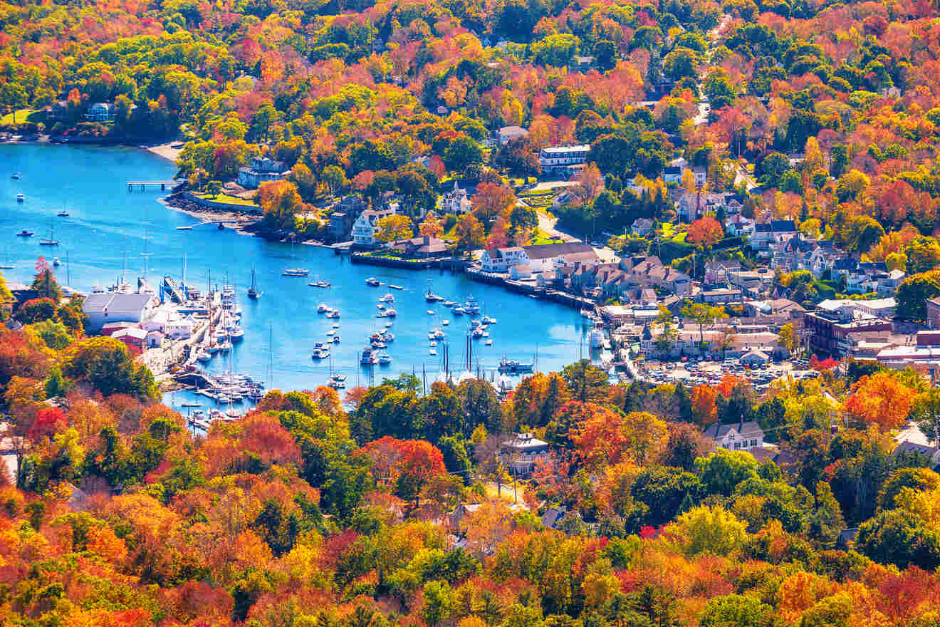 Aerial view of a harbor with boats amidst vibrant autumn foliage in a coastal town.
