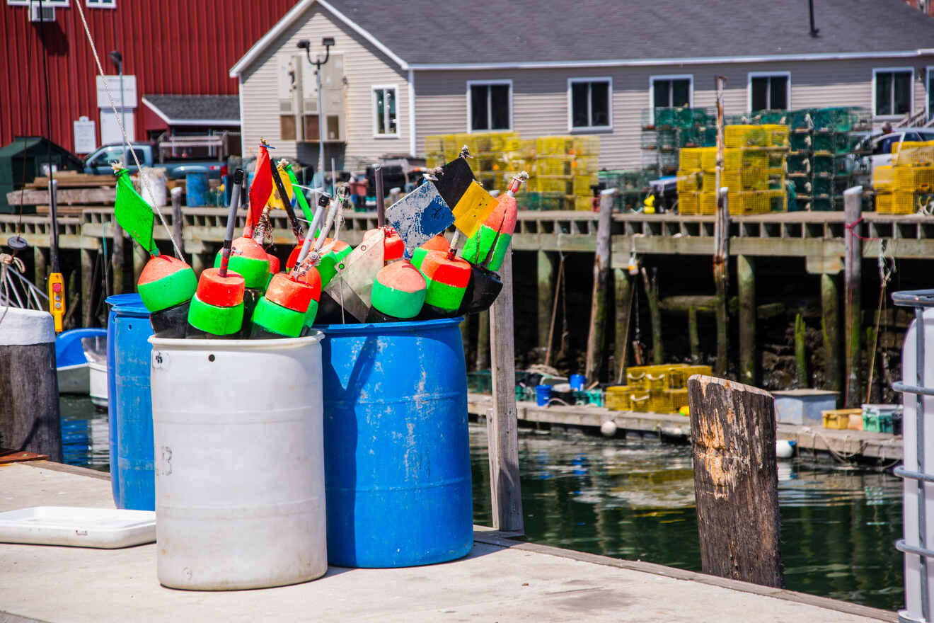 Colorful lobster buoys in storage barrels at a seaside fishing dock with a view of the ocean and boats.
