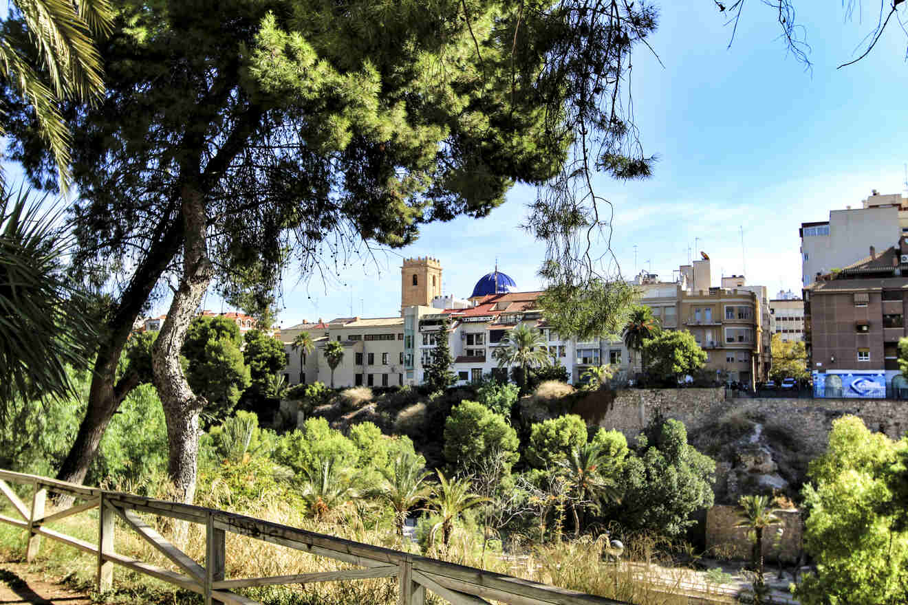 8 BONUS 1 Palmeral de Elche for day trips from Alicante