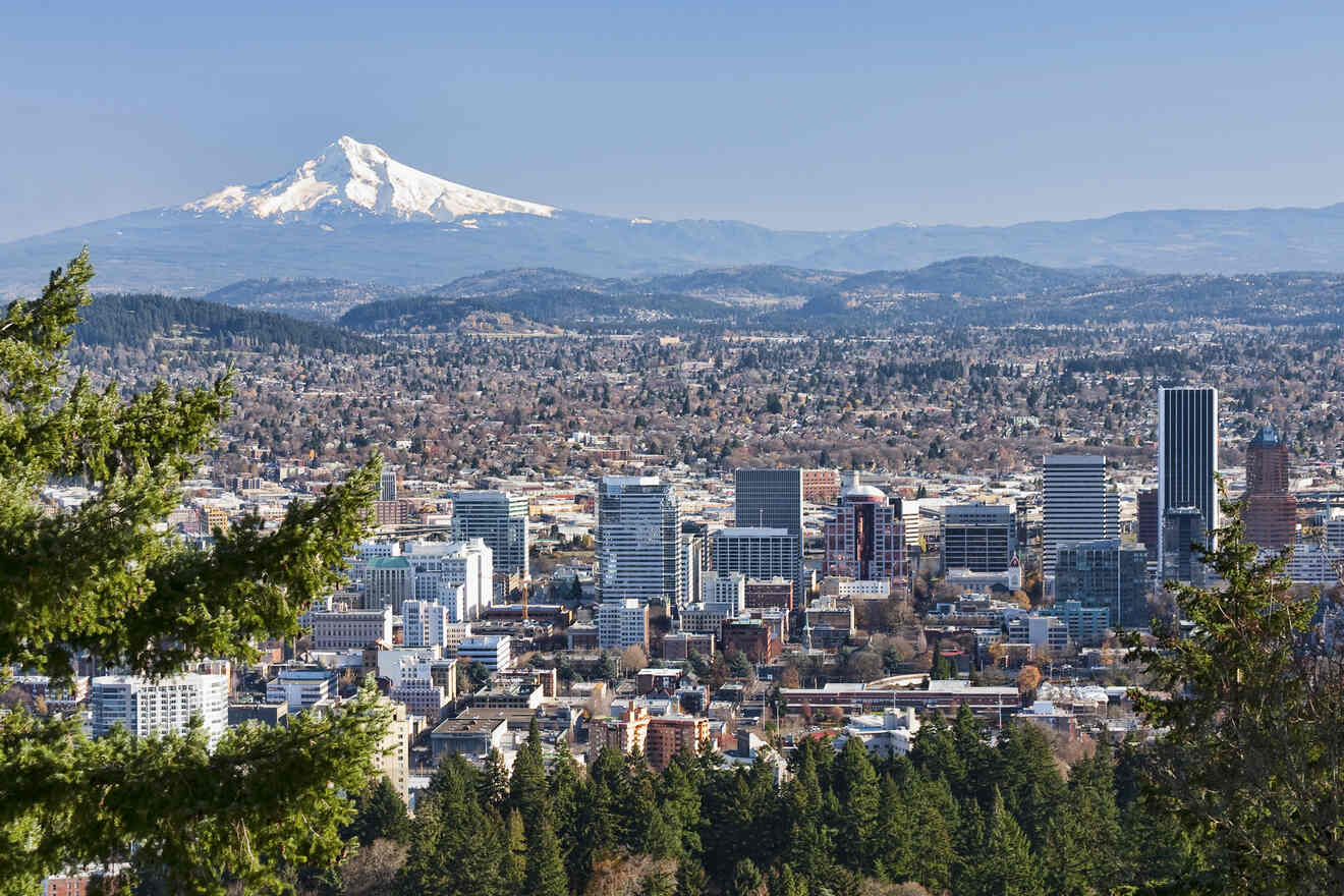 Aerial view of Portland with Mount Hood in the background