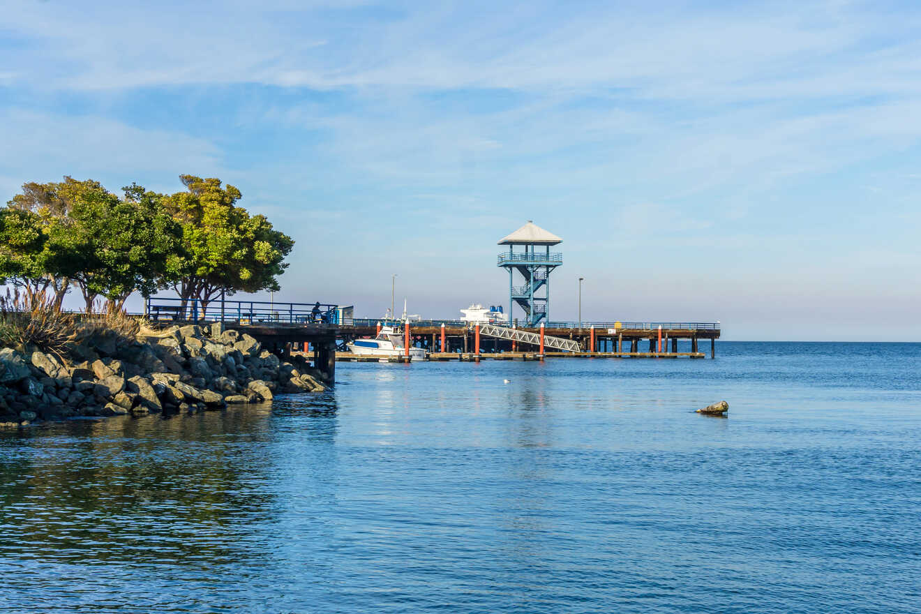 A tranquil harbor scene featuring a watchtower, calm blue waters, and a dock with moored boats, framed by green trees under a clear sky at Olympic National Park