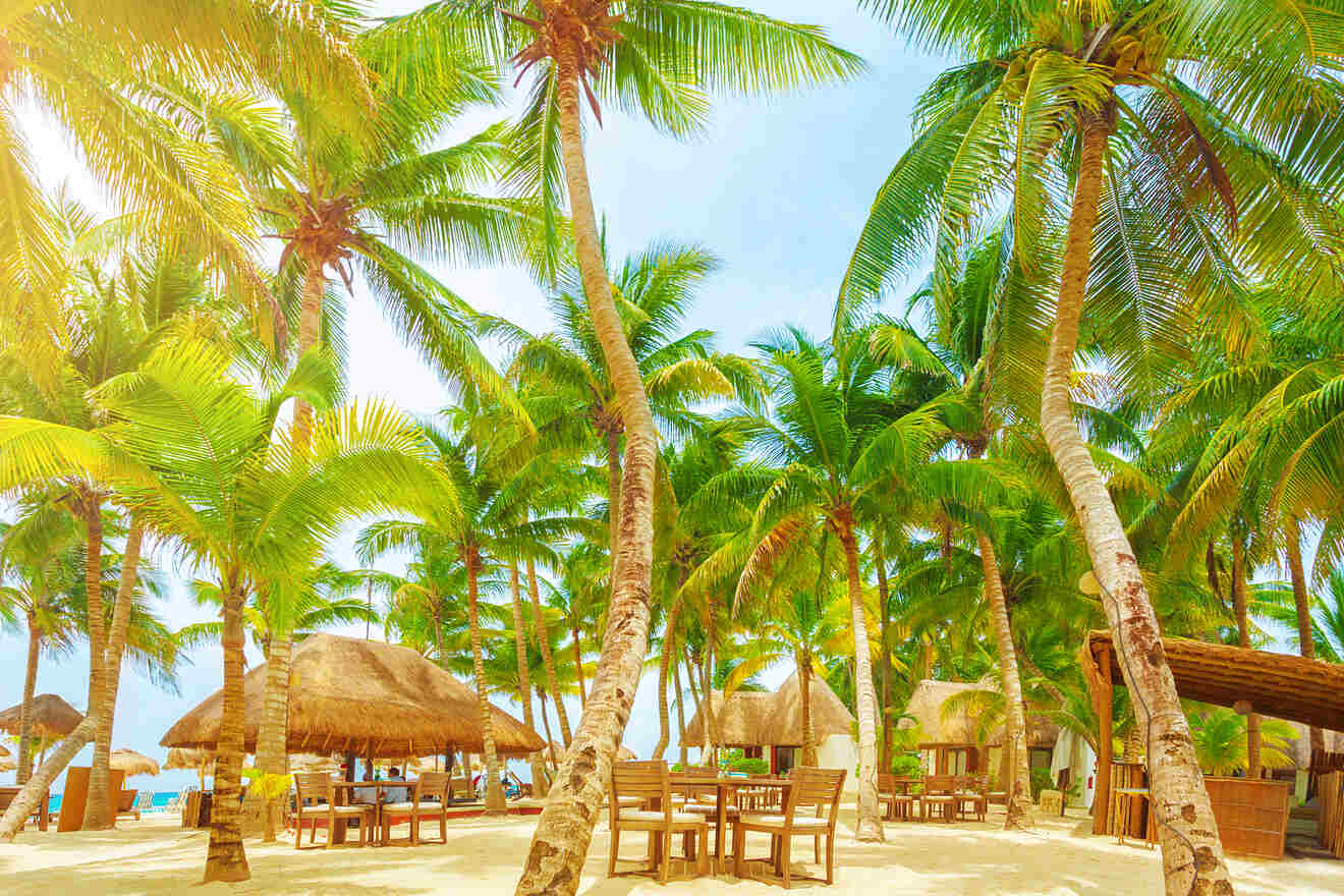 A tropical beach scene with numerous palm trees, wooden tables, and thatched-roof huts under a bright blue sky.