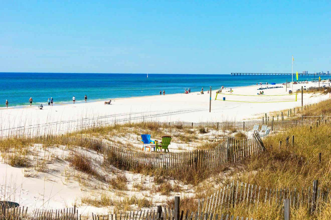 A beach scene with white sand, blue ocean, people sunbathing, a volleyball net, and scattered chairs. Tan grasses and wooden fences are in the foreground under a clear blue sky.